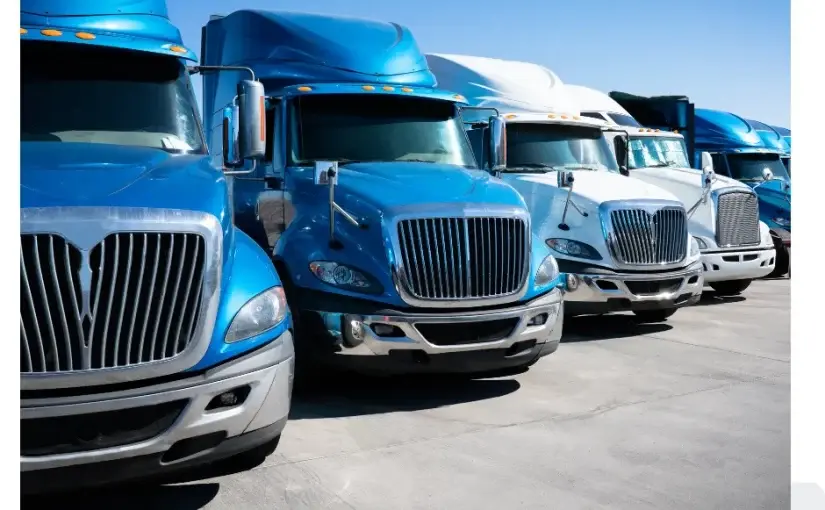 Sydney Truck Licence Fees: Fee by Licence Type